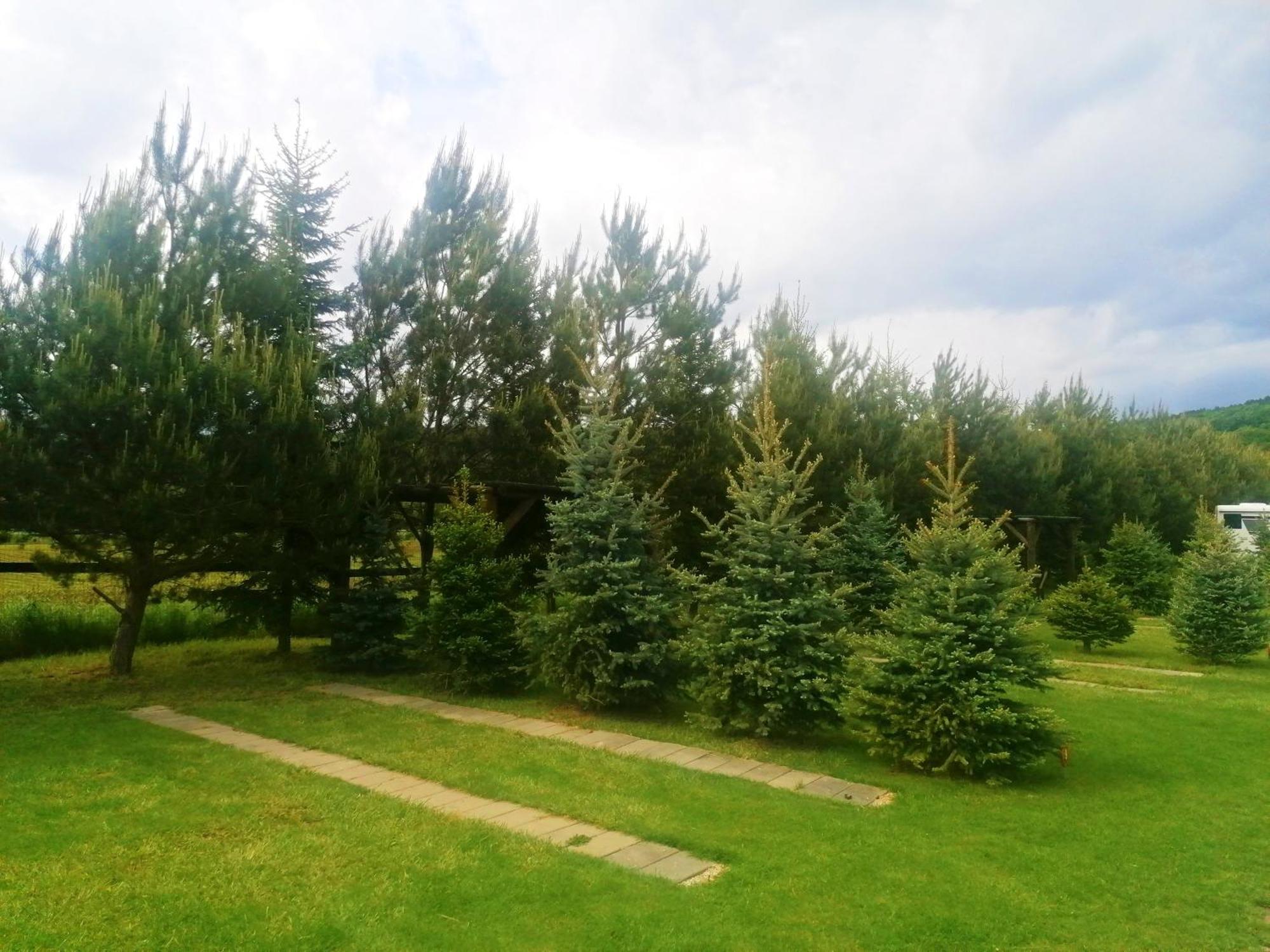 Camp Pacho Hotel Prievidza Exterior photo